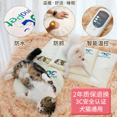 寵愛溫暖 寵物小電熱毯的選購與使用指南
